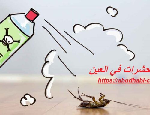 شركة رش حشرات في العين |0568208682| مكافحة الحشرات