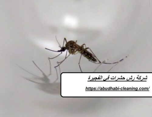 شركة رش حشرات في الفجيرة |0568208682| ابادة الحشرات