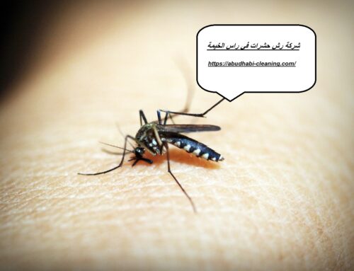 شركة رش حشرات في راس الخيمة |0568208682| رش مبيدات