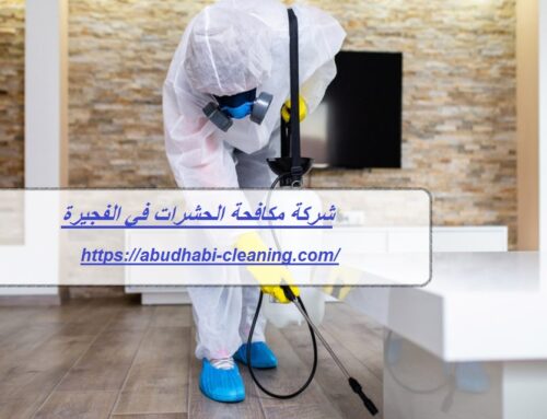 شركة مكافحة الحشرات في الفجيرة |0568208682| رش مبيدات