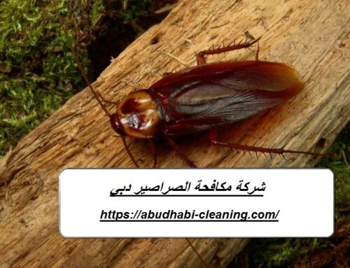 شركة مكافحة الصراصير دبي |0568208682| مكافحة حشرات