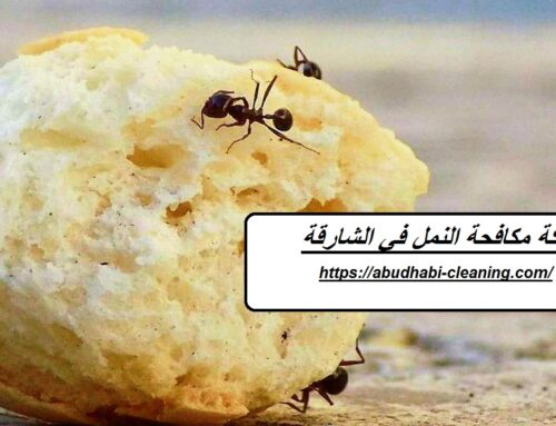 شركة مكافحة النمل في الشارقة |0568208682| ابادة فورية
