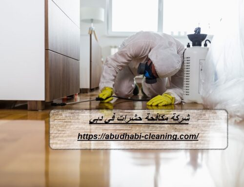 شركة مكافحة حشرات في دبي |0568208682| رش الحشرات